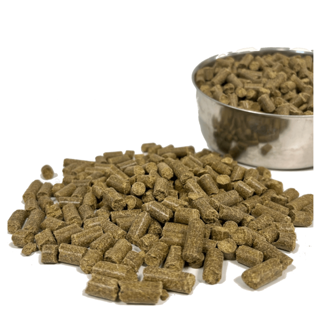 BrookoDog Premium Spirulina