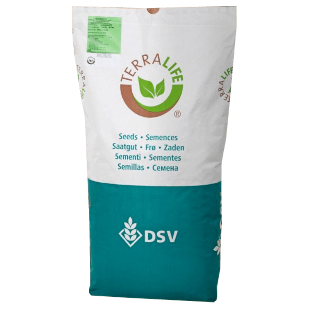 DSV TerraLife® BetaSola Zwischenfruchtmischung