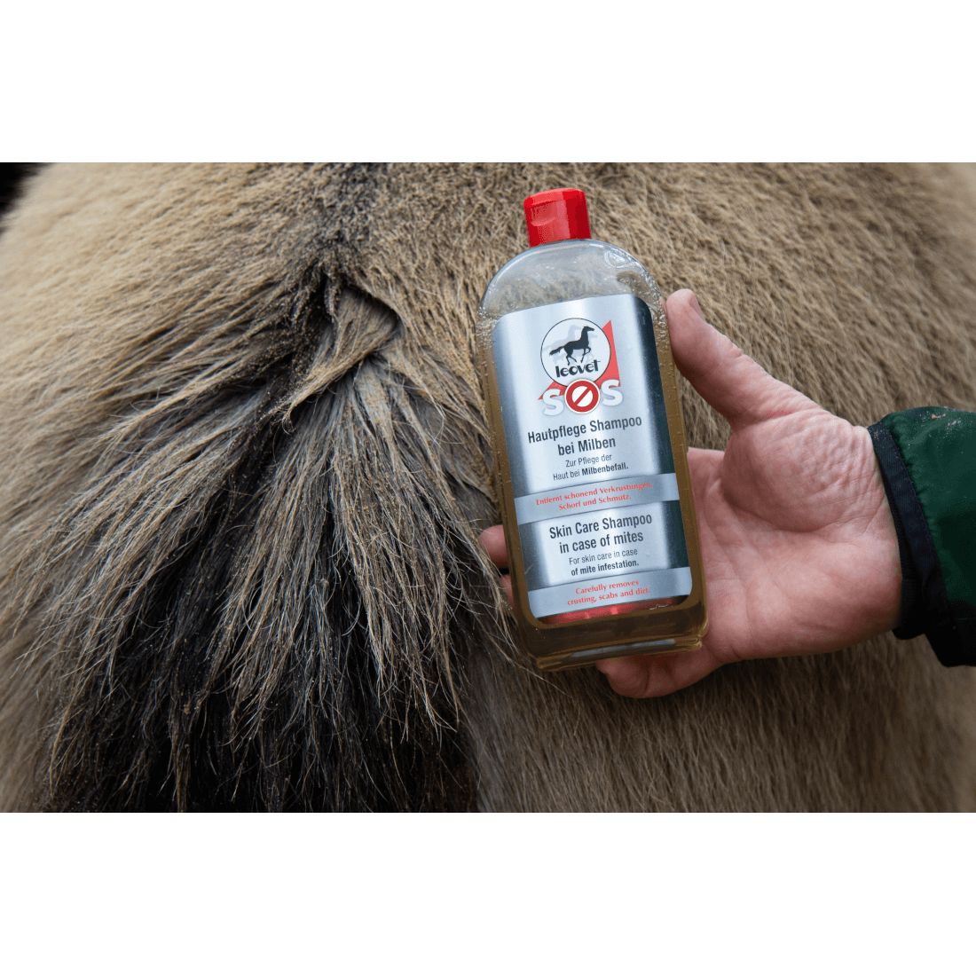 Leovet SOS Hautpflege Shampoo bei Milben